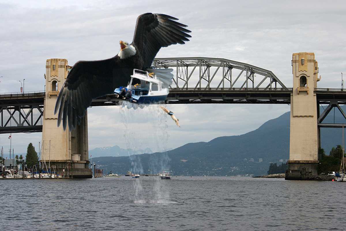 Photoshop Design by ZaphodQB for DesignCrowd (Community Contests) | Design #8961666