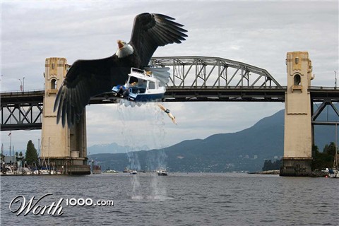 Photoshop Design by ZaphodQB