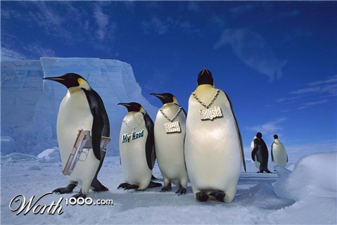 Photoshop Design by surgeAA