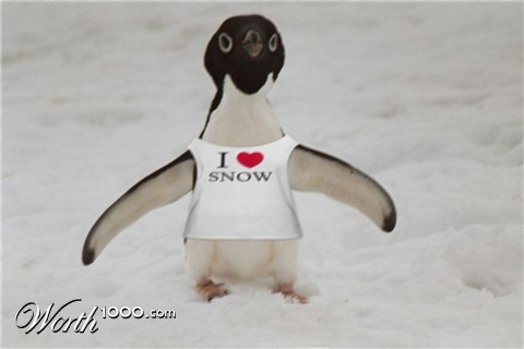 Photoshop Design by leschhorne