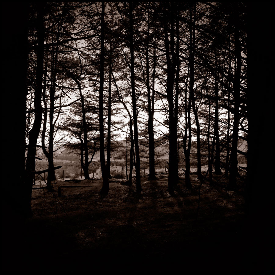 Photography by eckdeck for DesignCrowd (Community Contests) | Design #8962920