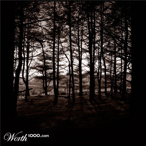 Photography by eckdeck