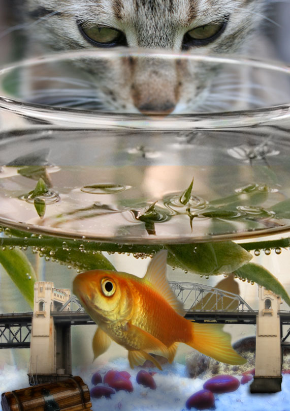 Photoshop-Design von kempony für DesignCrowd (Community Contests) | Design #8961747