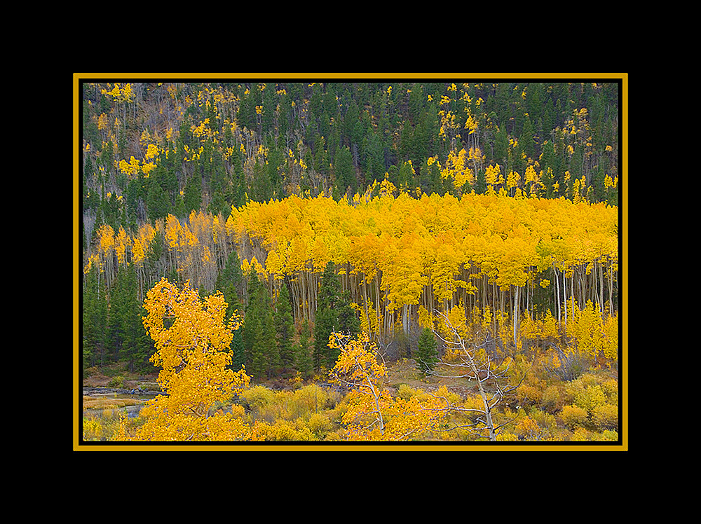 Photography by cshutt for DesignCrowd (Community Contests) | Design #8963000