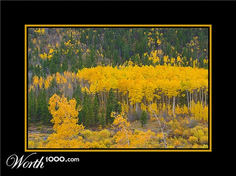 Photography by cshutt