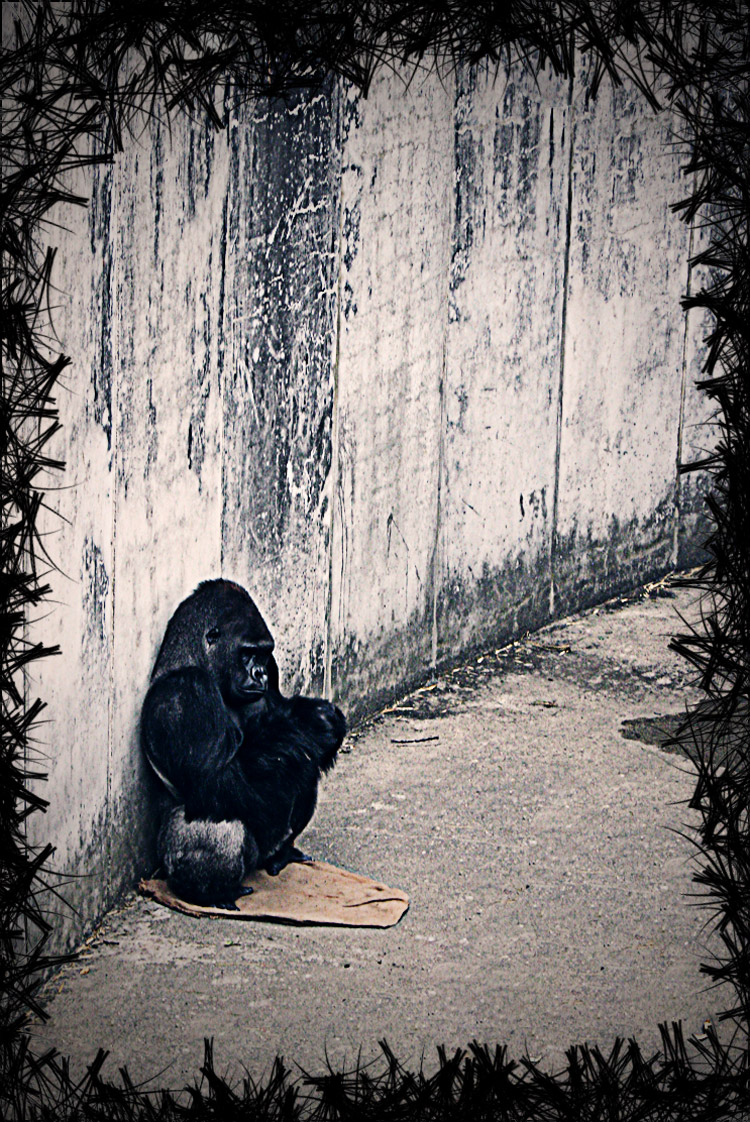 Photography by ManFromSun for DesignCrowd (Community Contests) | Design #8962971