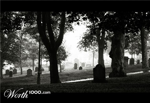 Photography by DoubleDizzle