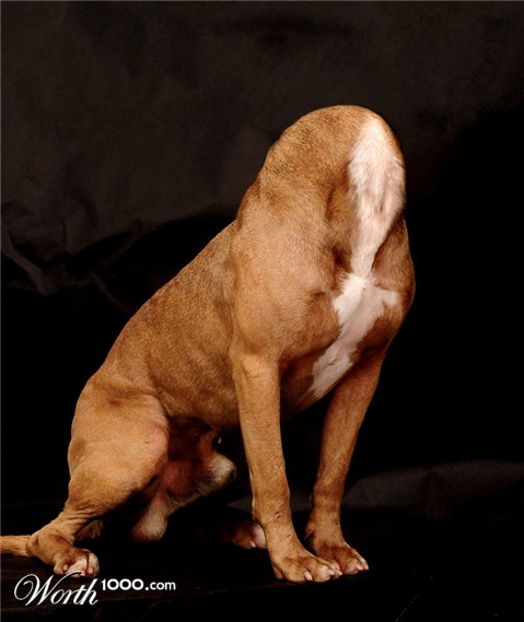 Photoshop Design by Mandrak