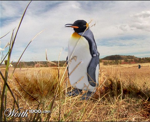 Photoshop Design by tombearr