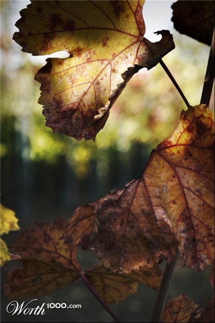 Photography by andreaguglielmi