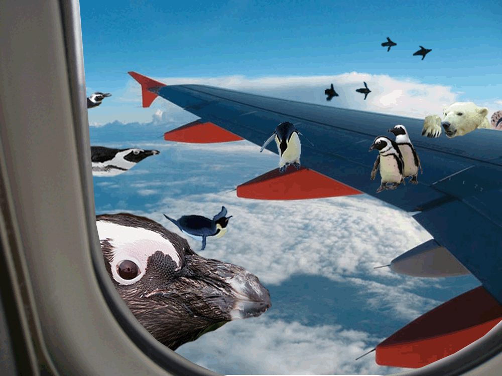 Photoshop-Design von Nusbaum für DesignCrowd (Community Contests) | Design #8962531