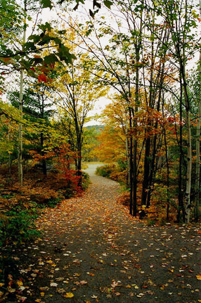 Fotografía por bailiee para DesignCrowd (Community Contests) | Diseño #8961265