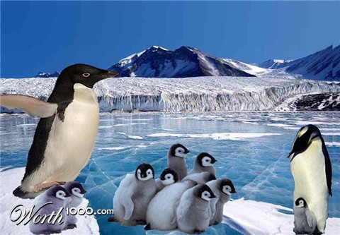 Photoshop Design by lashaejohnson