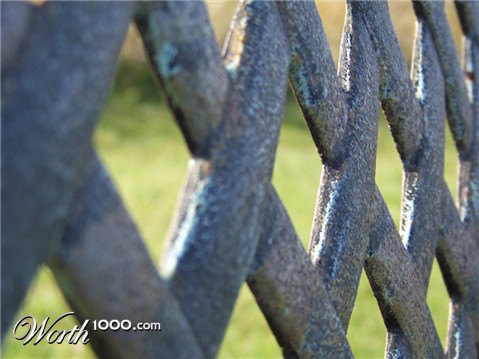 Photography by Balbina