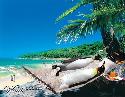 Photoshop Design by SterlingFountain
