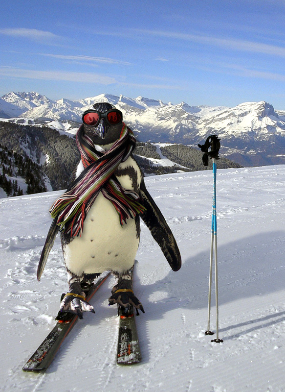 Diseño de Photoshop por Boomshanka para DesignCrowd (Community Contests) | Diseño #8962591