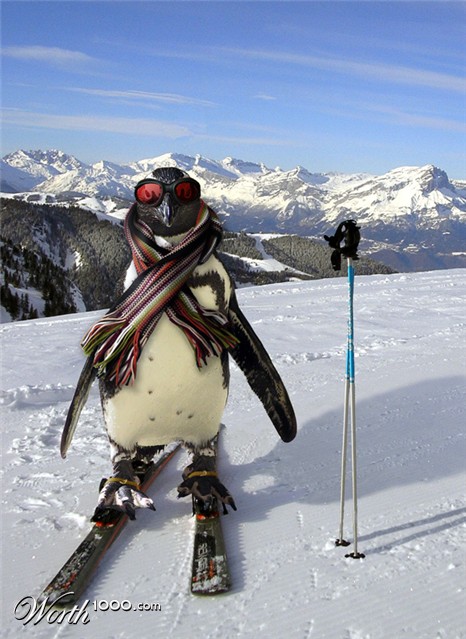 Photoshop Design by Boomshanka