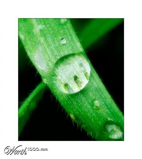 Photography by damas100