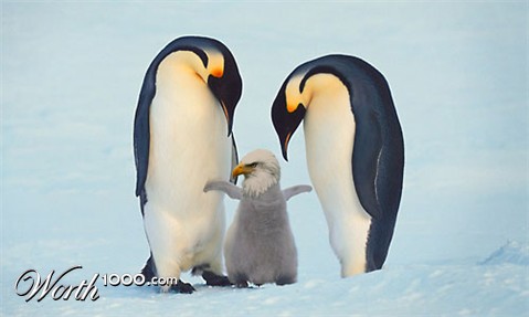 Photoshop Design by gear01d