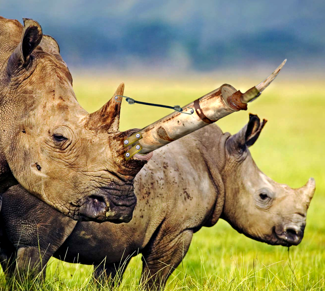 Photoshop-Design von bobber1 für DesignCrowd (Community Contests) | Design #8962281