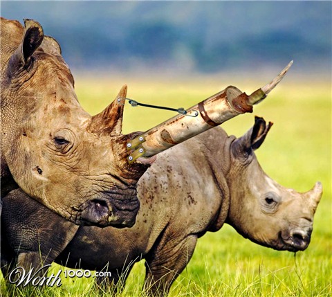 Photoshop Design by bobber1