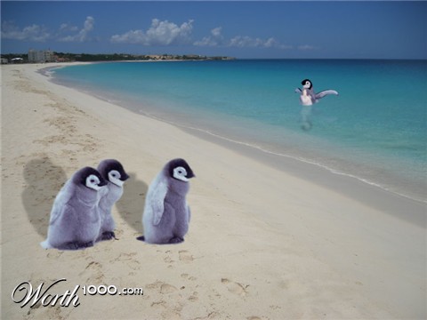 Photoshop Design by heatherwxo