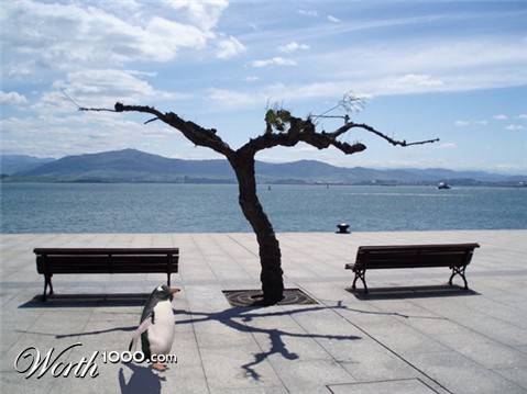 Photoshop design by robiet1377 for DesignCrowd (Community Contests)