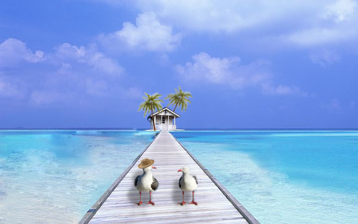 Photoshop Design by MEllis for DesignCrowd (Community Contests) | Design #8963029