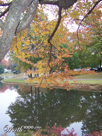 Photography by maroulaki313