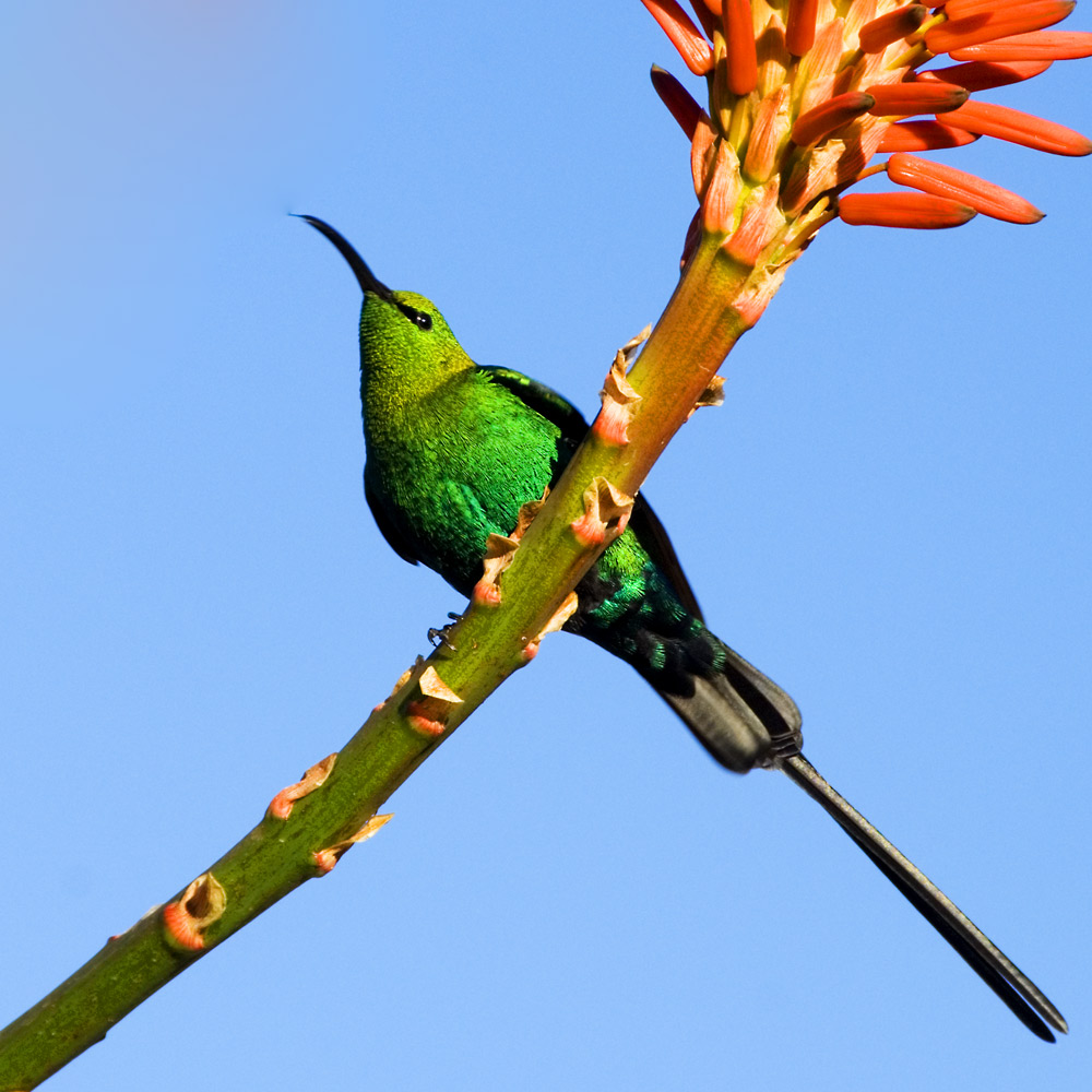 Photography by HappyWanderer for DesignCrowd (Community Contests) | Design #8963396