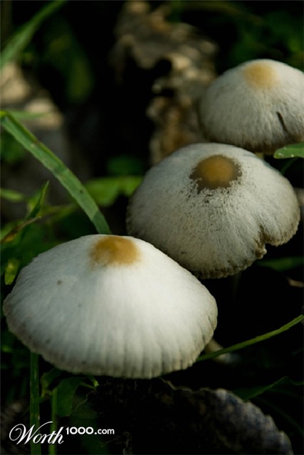 Photography by crea08