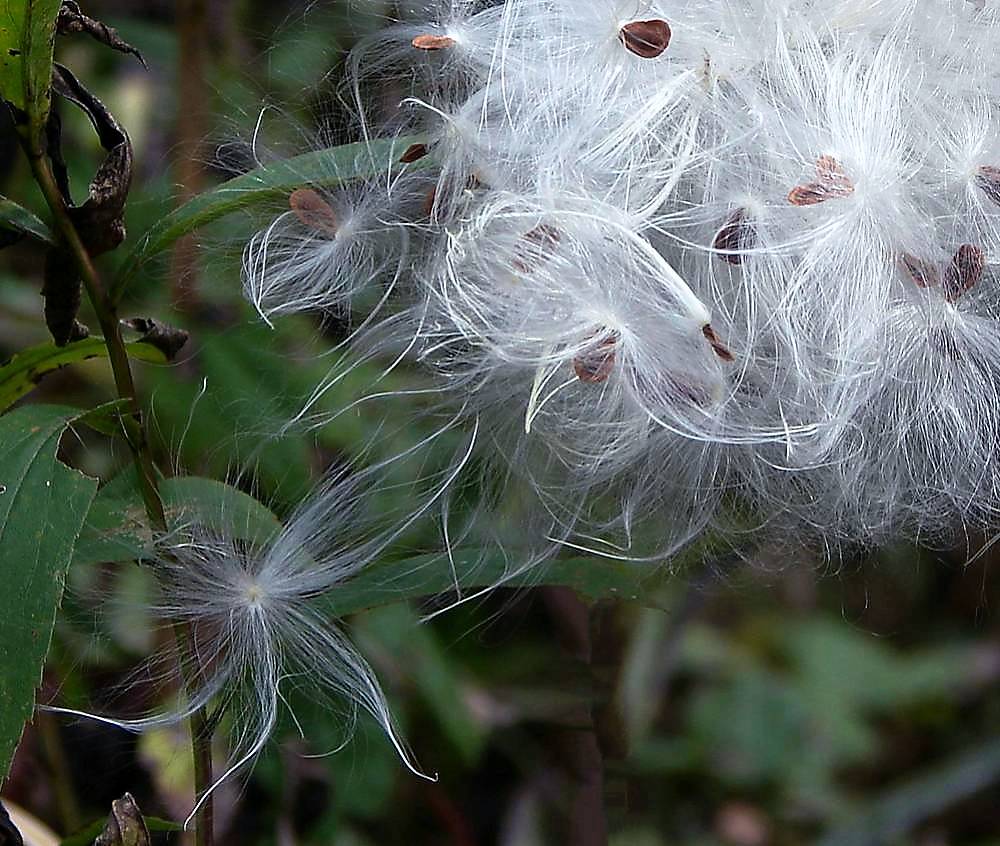 Photography by Berilu for DesignCrowd (Community Contests) | Design #8962912