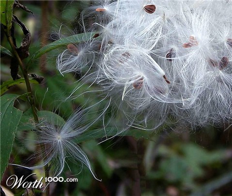 Photography by Berilu