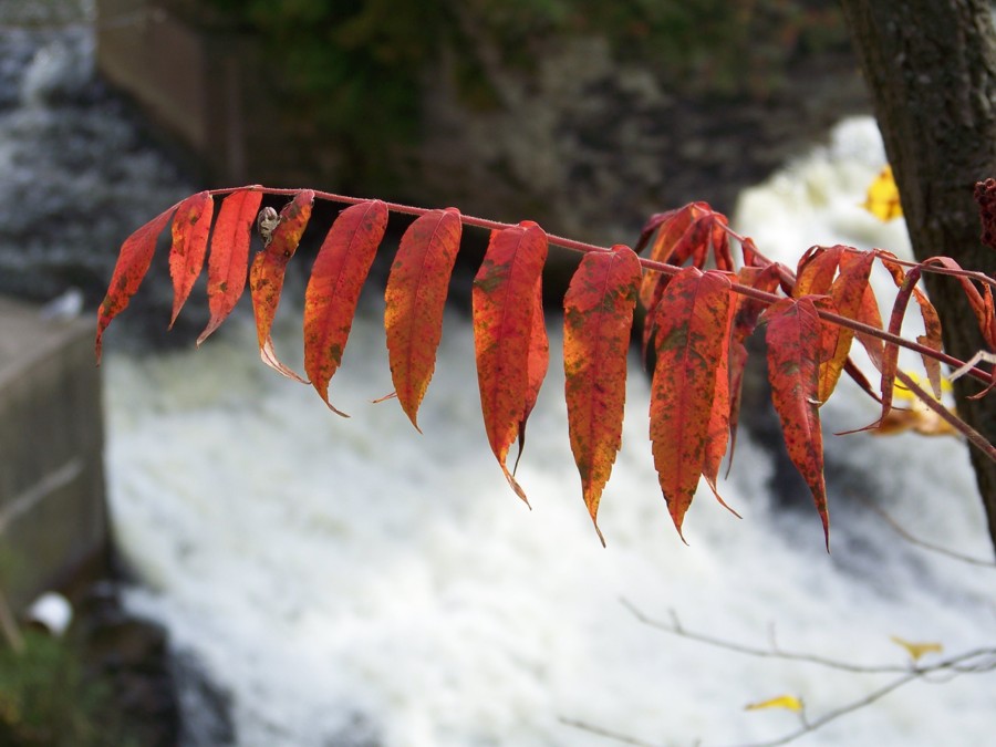 Photography by Balbina for DesignCrowd (Community Contests) | Design #8962972