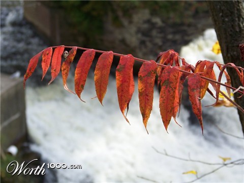 Photography by Balbina