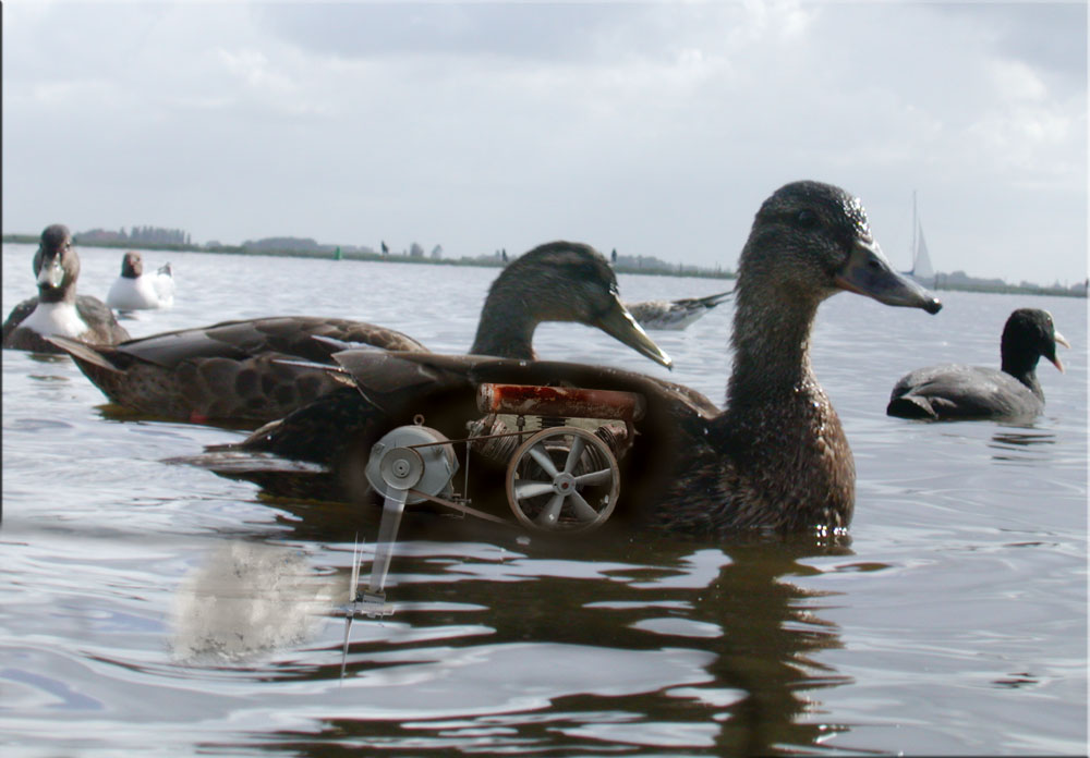 Photoshop Design by tombearr for DesignCrowd (Community Contests) | Design #8962465