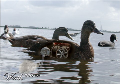 Photoshop Design by tombearr