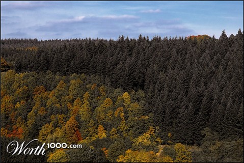Photography by egonlinden
