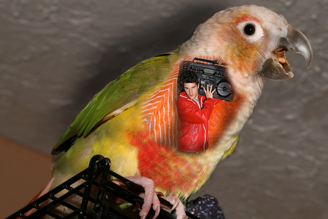 Photoshop-Design von ilovekarate für DesignCrowd (Community Contests) | Design #8962454