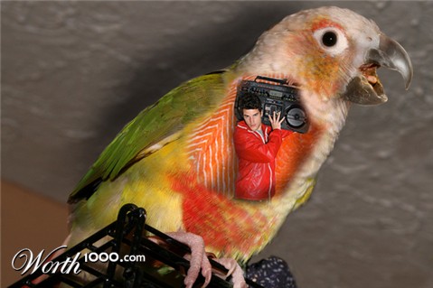 Photoshop Design by ilovekarate