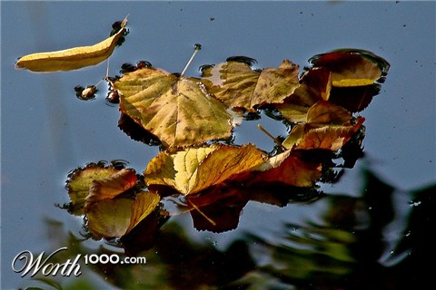 Photography by Jaap54