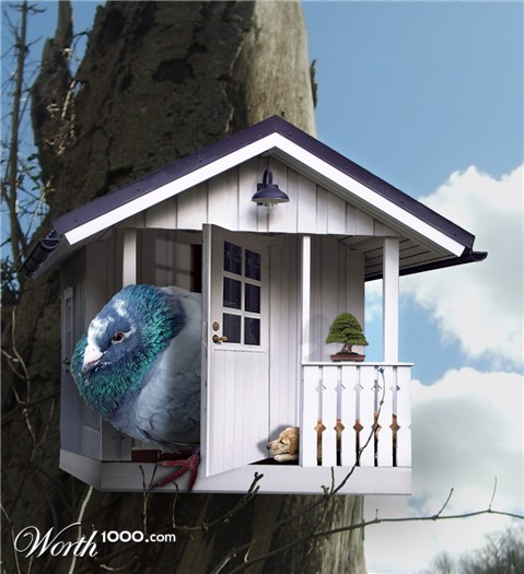 Photoshop Design by kempony