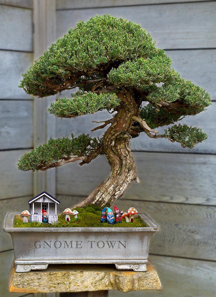 Photoshop-Design von Thegardener für DesignCrowd (Community Contests) | Design #8963109