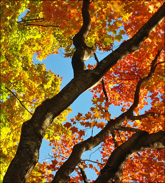 Photography by automotivefever for DesignCrowd (Community Contests) | Design #8961211