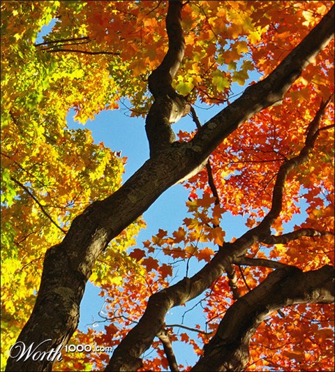 Photography by automotivefever