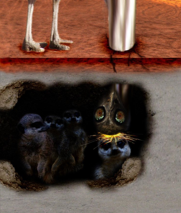 Photoshop Design by Moesey for DesignCrowd (Community Contests) | Design #8962475