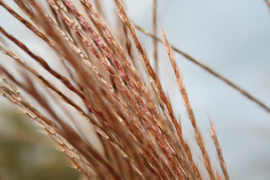 Fotografía por ama168 para DesignCrowd (Community Contests) | Diseño #8962981