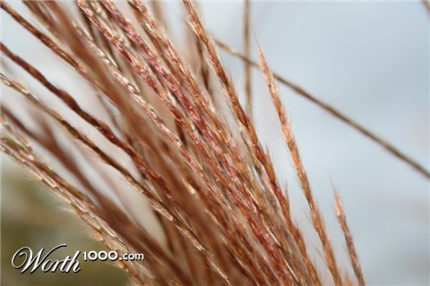 Photography by ama168