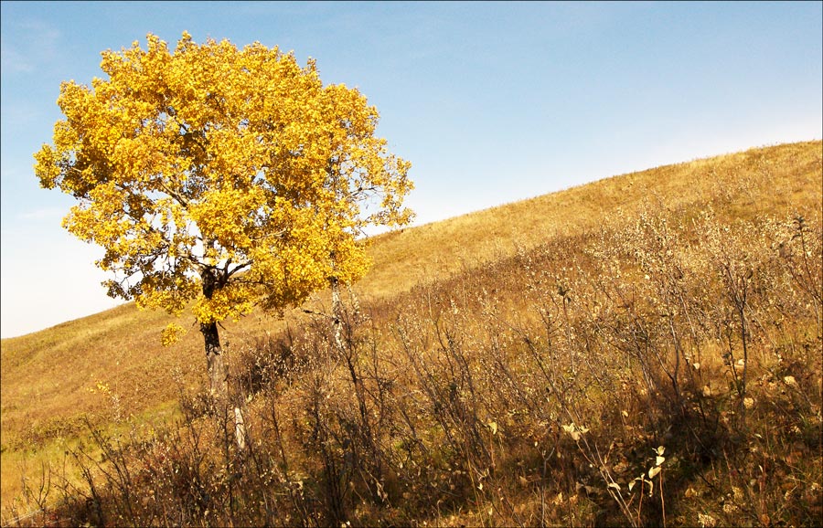 Photographie par crattay21cuc pour DesignCrowd (Community Contests) | Design #8961333