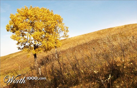 Photography by crattay21cuc